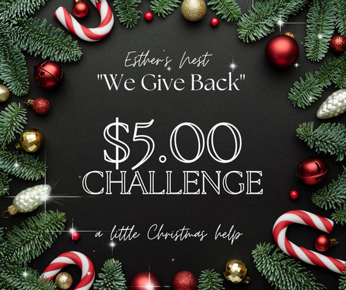 We give back…A little Christmas Help